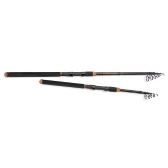Saenger prut Pro-T Gold Tele Big Fish 2,70m 50–120g