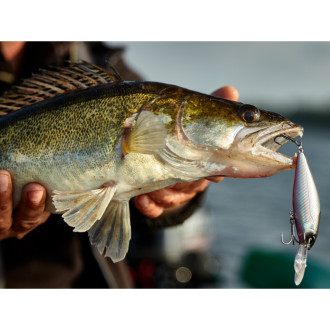 Wobler Lucky John Original SHAD-X 8F barva 007