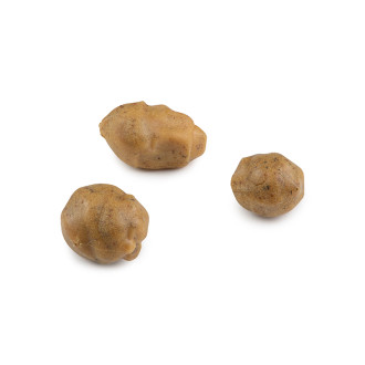 Plouvoucí tygří ořech Fox Edges Tigernuts
