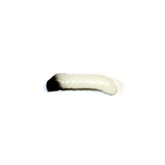 Gumová nástraha Revol Baits Caddis Larva příchuť sýr-česnek 20mm 10ks