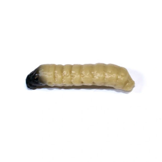 Gumová nástrahy Revol Baits Caddis Larva příchuť krevetka 30mm 10ks