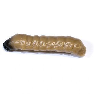Gumová nástraha Revol Baits Caddis Larva příchuť krevetka 40mm 10ks