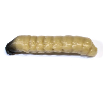Gumová nástraha Revol Baits Caddis Larva příchuť krevetka 40mm 10ks