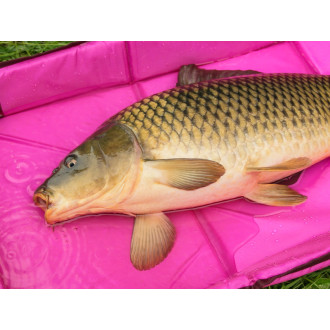 Podložka s bočnicemi Delphin Duomat Queen Wow 90x40x10 cm
