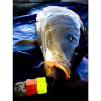 Nástraha LK Baits CUC! 40g