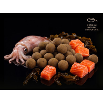 Boilie Delphin BreaX SeaKER Oliheň Losos 20mm 300g