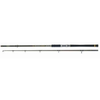 Prut Mivardi Xtreme Catfish 3,0m 200-600g