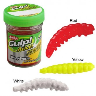 Vosí larvy Berkley Gulp 2,5cm 25ks