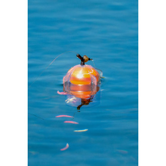 Raketa Korum Floating Window Combi Feeder Fluoro Top