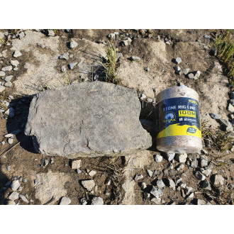 Provaz BlackCat Stone Rig Line 0,20mm 100m
