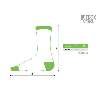 Set ponožek v plechovce Delphin Beerox worm 2 páry