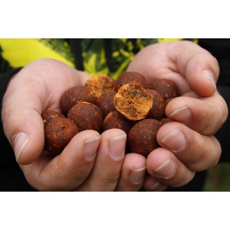 Boilies Mivardi Rapid Champion Platinum B17 950g