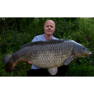 Boilies Mivardi Rapid Champion Platinum B17 950g