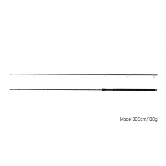 Prut Delphin Murena 2,70m 100g