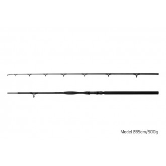 Prut Delphin Symbol Cat 2,55m 500g