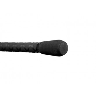 Prut Delphin Partisan Carp 3,60m 3,50lb
