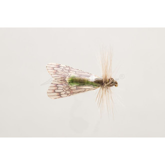 Nástraha Kingfisher Apple Caddis vel.10