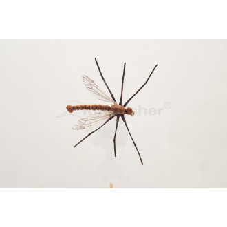 Nástraha Kingfisher Daddy Long Legs vel.12