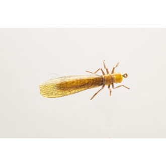 Nástraha Kingfisher Golden Stone vel.06