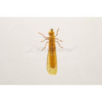 Nástraha Kingfisher Golden Stone vel.06