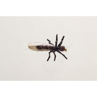 Nástraha Kingfisher Stone Little Black vel.14