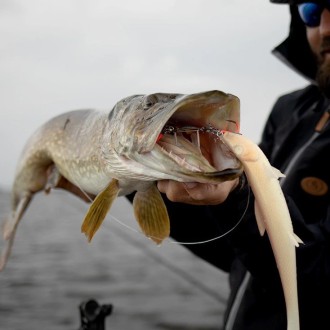 Montáž BKK Stinger BB Trigger 21 Stinger Rig