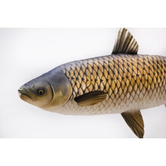 Polštář Gaby Amur 75cm