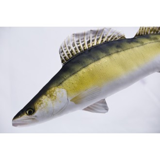 Polštář Gaby Candát mini 50cm