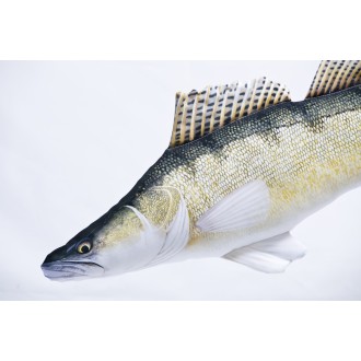 Polštář Gaby Candát obecný 75cm