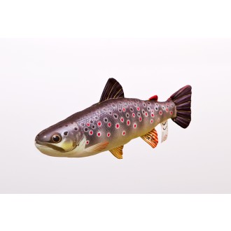Polštář Gaby Pstruh potoční mini 35cm