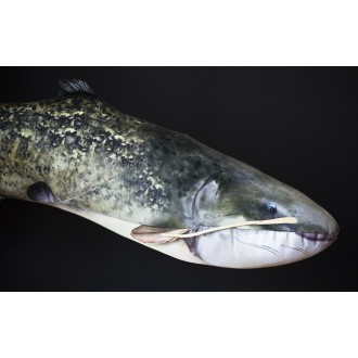 Polštář Gaby Sumec velký 115cm