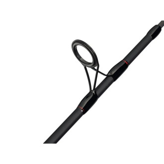 Prut Berkley Catch More Fish Spin Combo 2,4m 10-40g