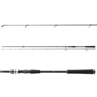 Prut Daiwa Exceler Spin 2,70m 10-40g