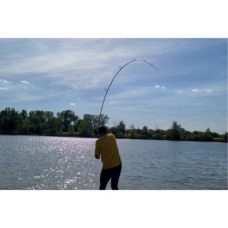 Prut Sportex Catapult CS-4 Carp 3,96m 3,75lbs