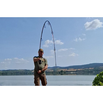 Prut Sportex Catapult CS-4 Carp 3,96m 3,75lbs