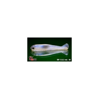 Smáček RedBass SSF 2